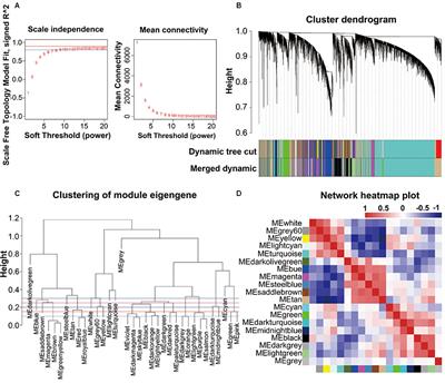 Gene Expression Analysis Reveals Novel Gene Signatures Between Young and Old Adults in Human Prefrontal Cortex